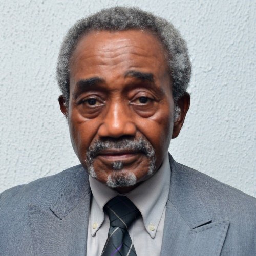 Mr. Samuel Babatunde A. Ezichi FNCS