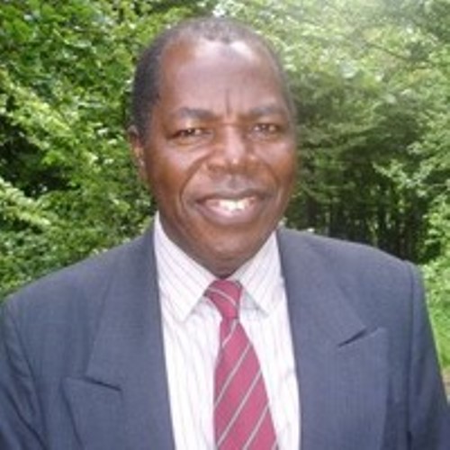 Pof. Joshua O.A. Ayeni