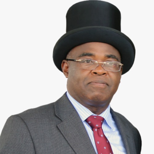 Barrister David Serena-Dokubo Spiff