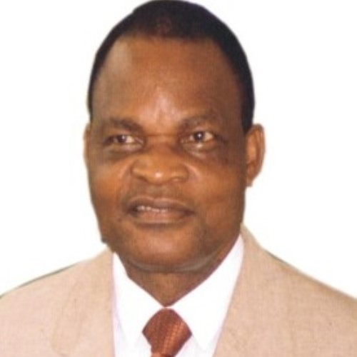 Dr. Chris C. Nwannenna FNCS 