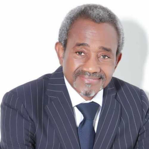 Mr. Samuel B.A. Ezichi FNCS 