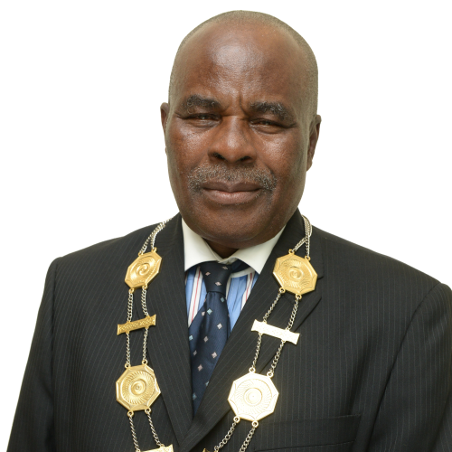 Prof. David Adewumi FNCS