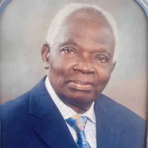 Prof. Oluwumi Longe FNCS (Late) 