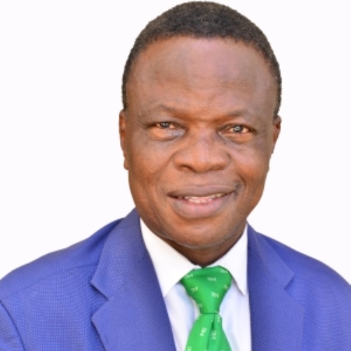 <a href="http://itssp.org.ng/"> Mr. Iyiola Ayoola FNCS </a>