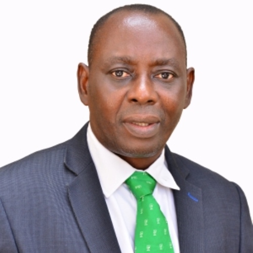 Dr. Olusoji Babatunde Okunoye FNCS