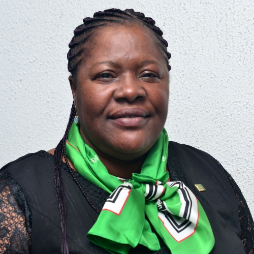Prof. Veronica I. Osubor FNCS