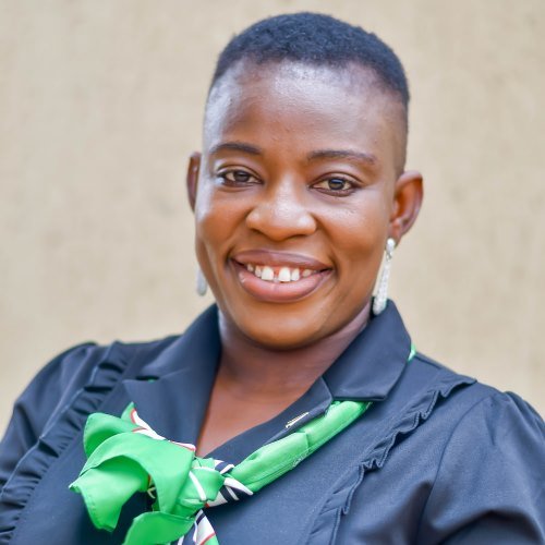 Engr. Omobolaji Sade Adetipe FNCS